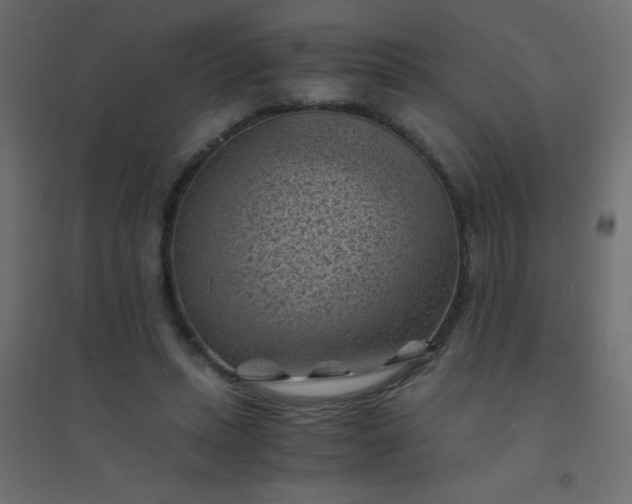 X0000094450447200711211522