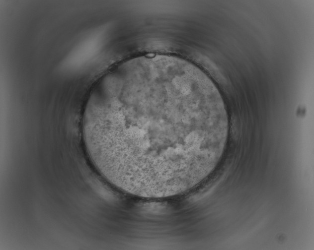 X0000094450449200711211522