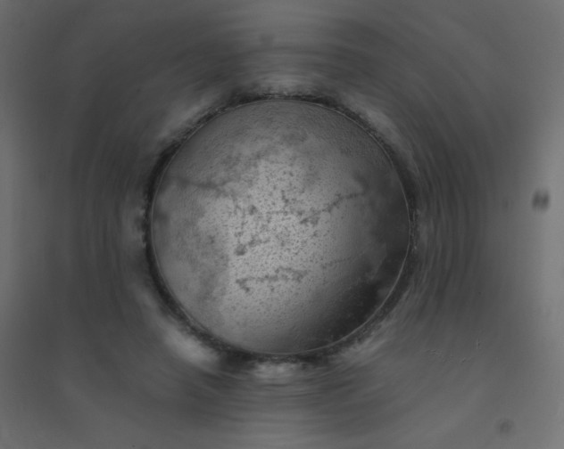 X0000094450450200711211522