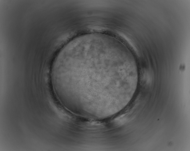 X0000094450451200711211522