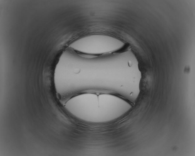 X0000094450452200711211522