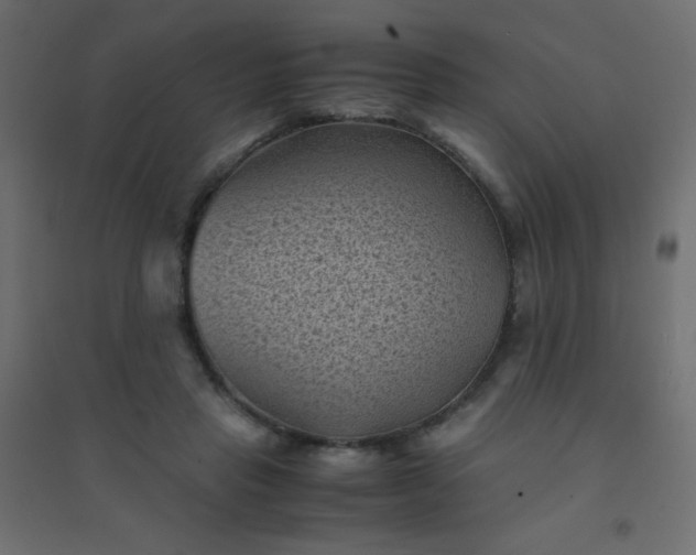 X0000094450453200711211522