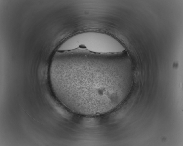 X0000094450454200711211522