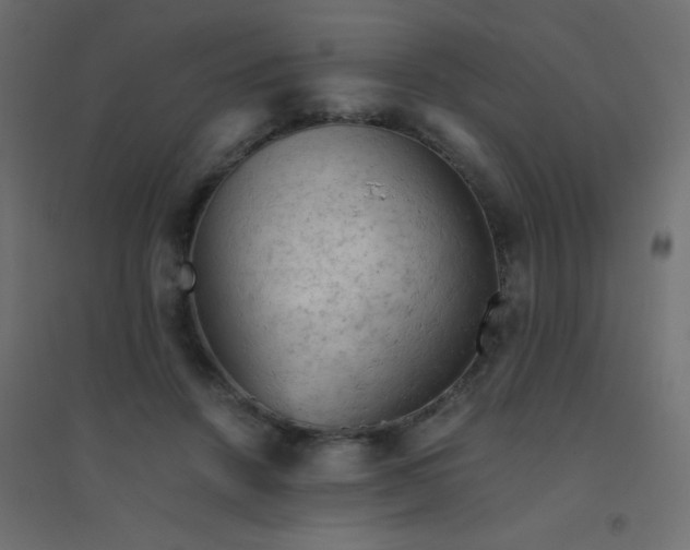 X0000094450456200711211522