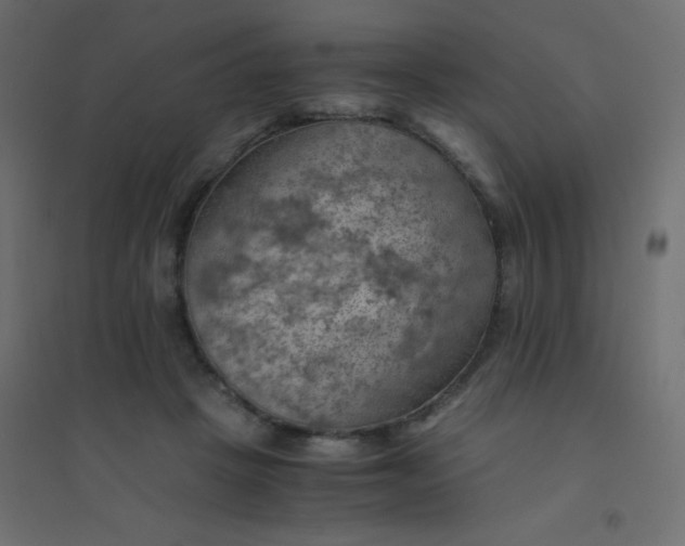 X0000094450457200711211522