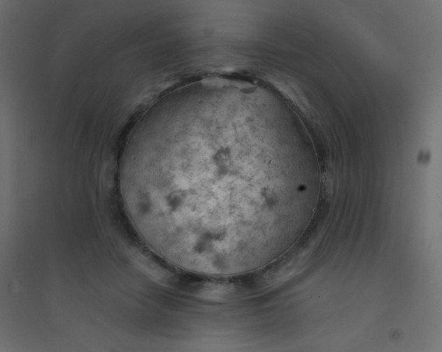 X0000094450458200711211522