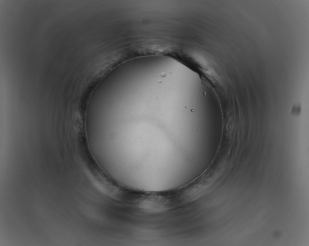 X0000094450459200711211522