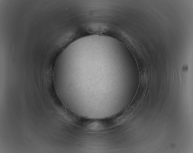 X0000094450460200711211522