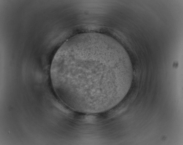 X0000094450462200711211522