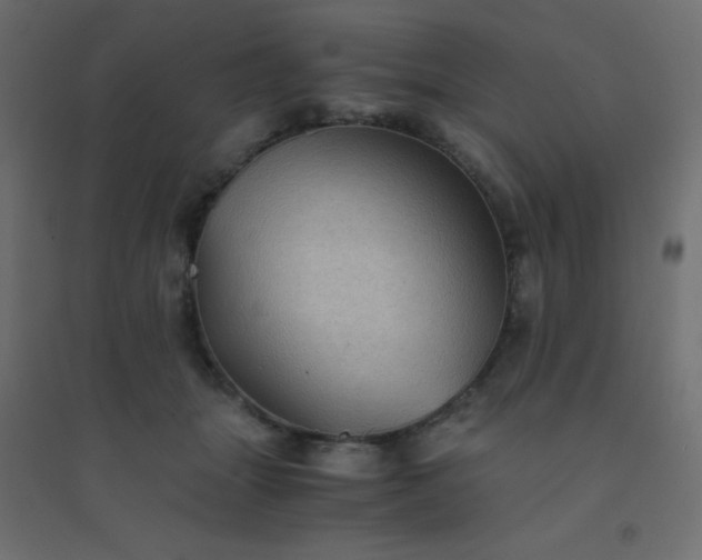 X0000094450463200711211522