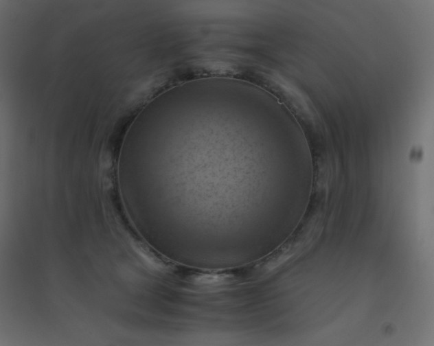 X0000094450465200711211522