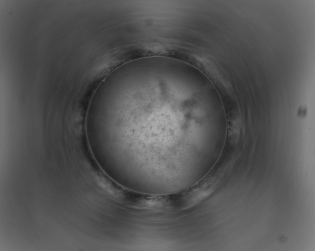 X0000094450466200711211522