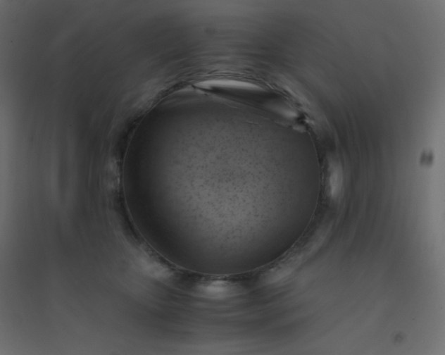 X0000094450467200711211522