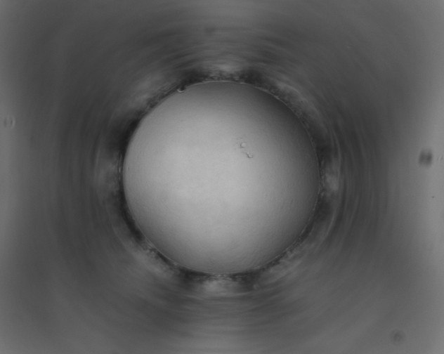 X0000094450468200711211522