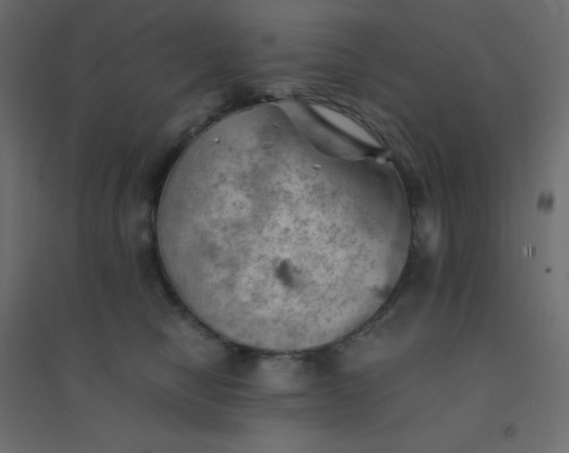 X0000094450470200711211522