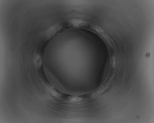 X0000094450471200711211522