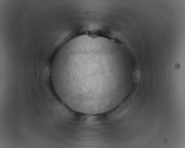 X0000094450472200711211522