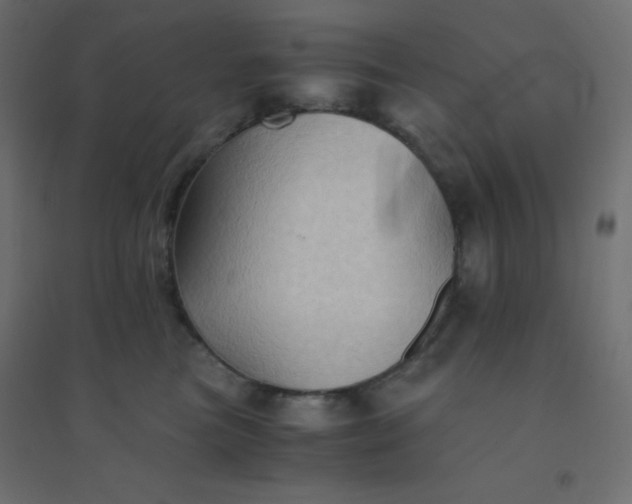 X0000094450473200711211522