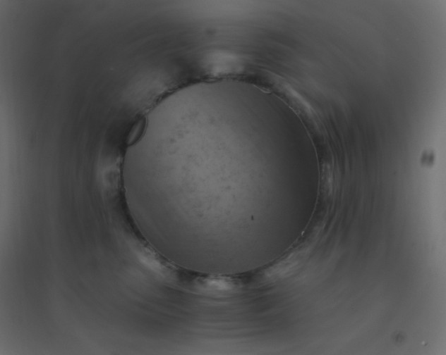 X0000094450475200711211522