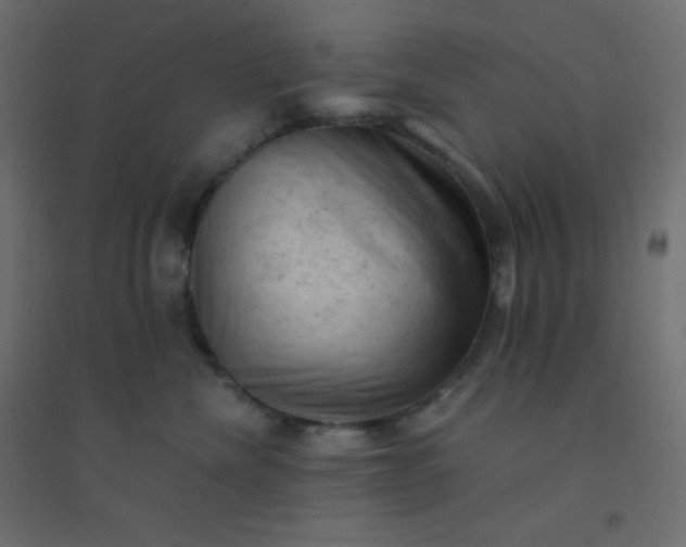 X0000094450476200711211522