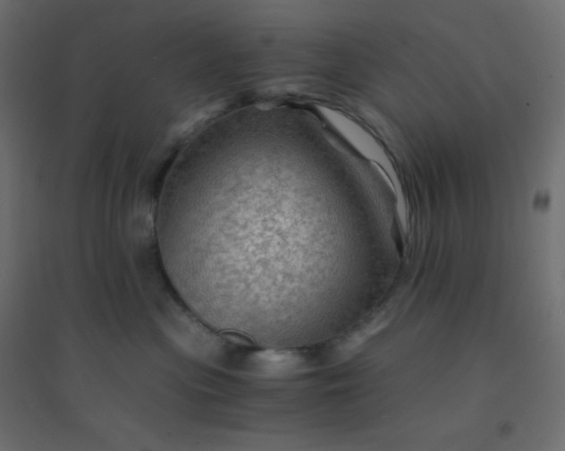 X0000094450477200711211522