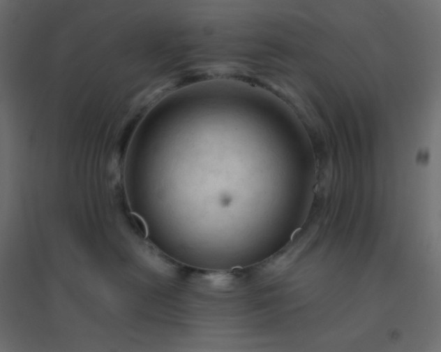 X0000094450478200711211522