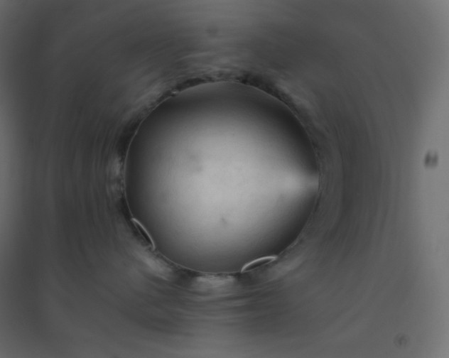 X0000094450480200711211522