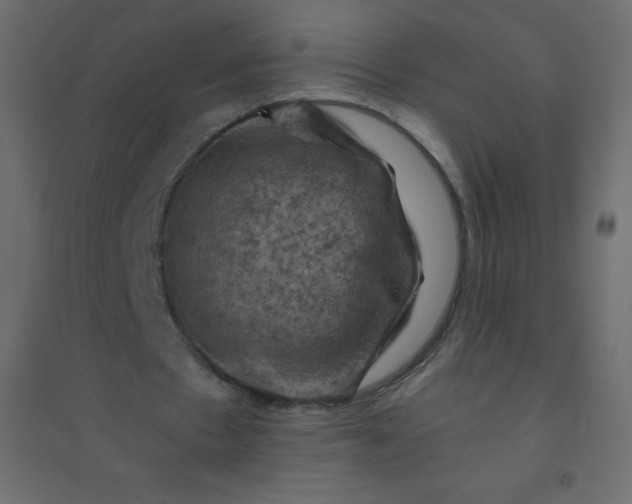 X0000094450481200711211522