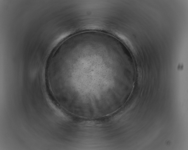 X0000094450482200711211522