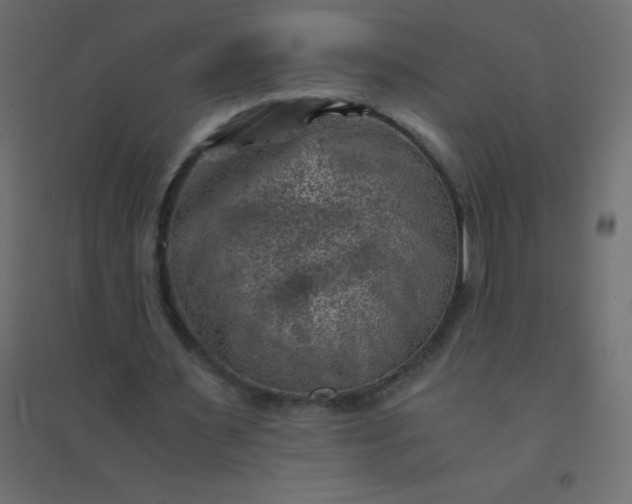 X0000094450483200711211522