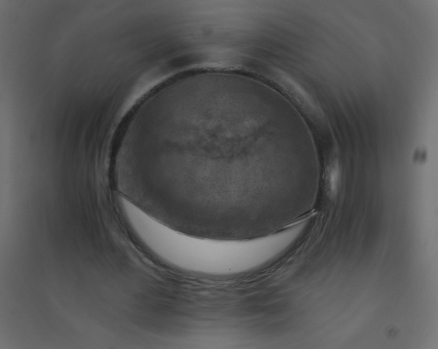 X0000094450484200711211522