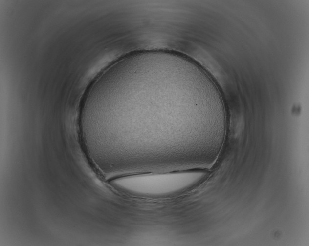 X0000094450485200711211522