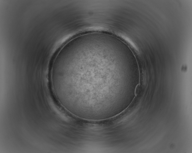 X0000094450486200711211522