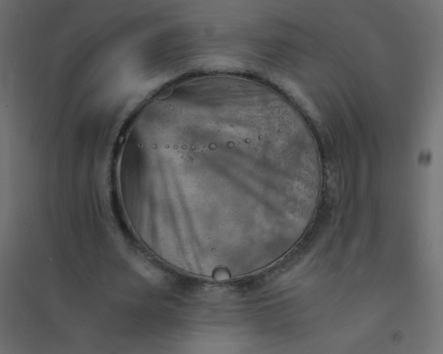 X0000094450487200711211522