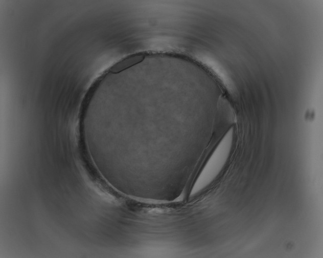 X0000094450488200711211522