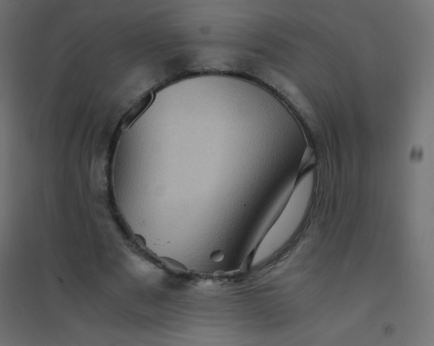 X0000094450489200711211522