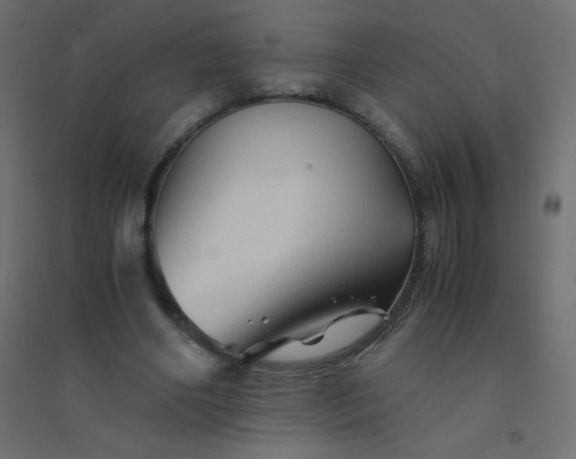 X0000094450490200711211522