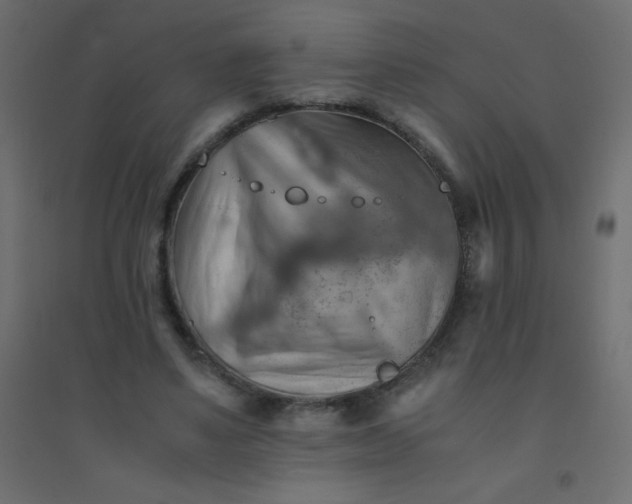 X0000094450491200711211522