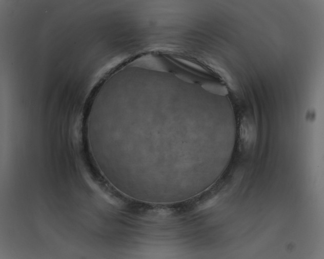 X0000094450492200711211522