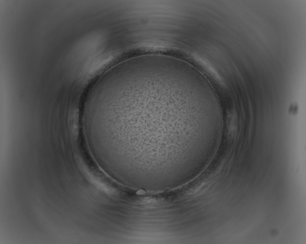 X0000094450494200711211522