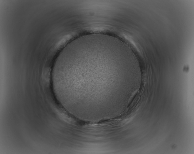 X0000094450495200711211522