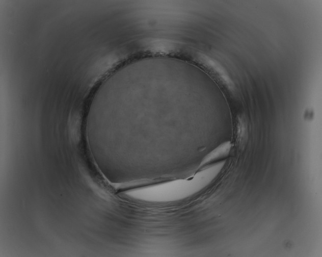 X0000094450496200711211522