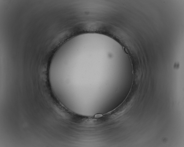 X0000094450497200711211522