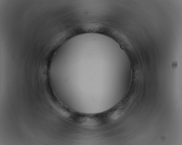 X0000094450498200711211522