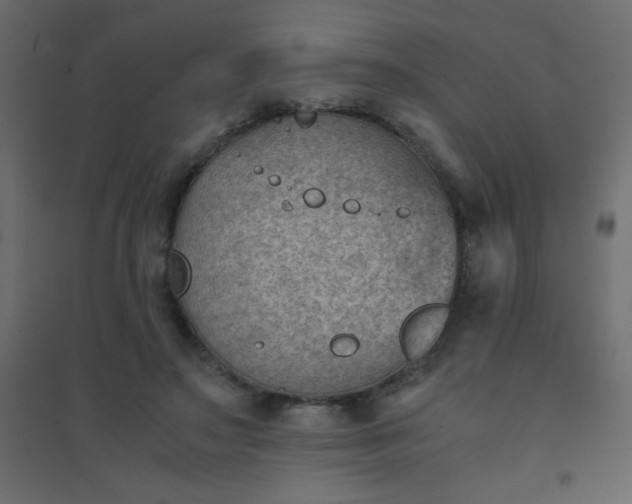 X0000094450499200711211522