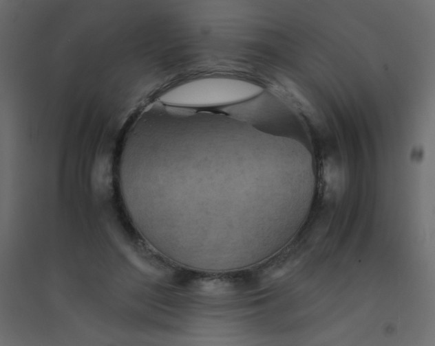 X0000094450500200711211522