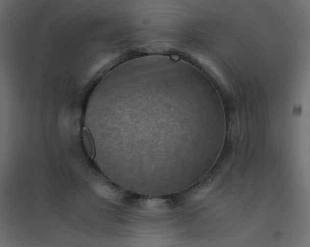 X0000094450501200711211522