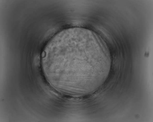 X0000094450502200711211521