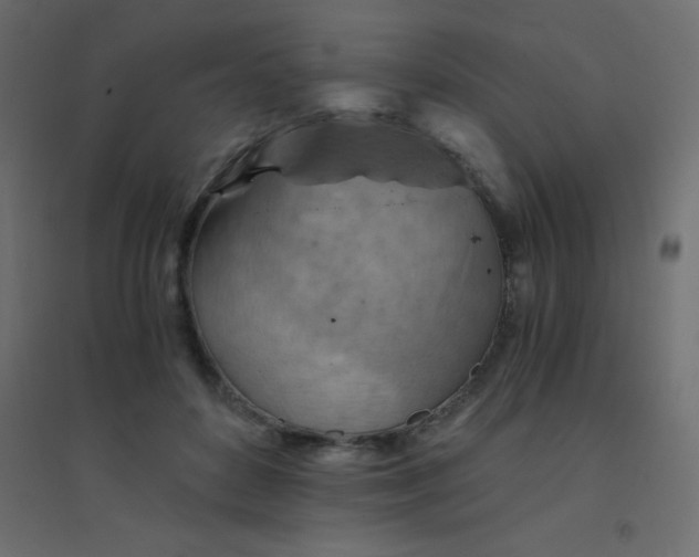 X0000094450504200711211521