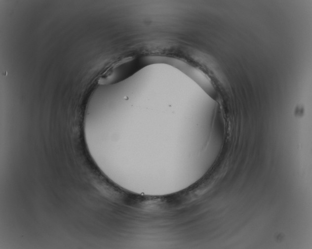 X0000094450505200711211521